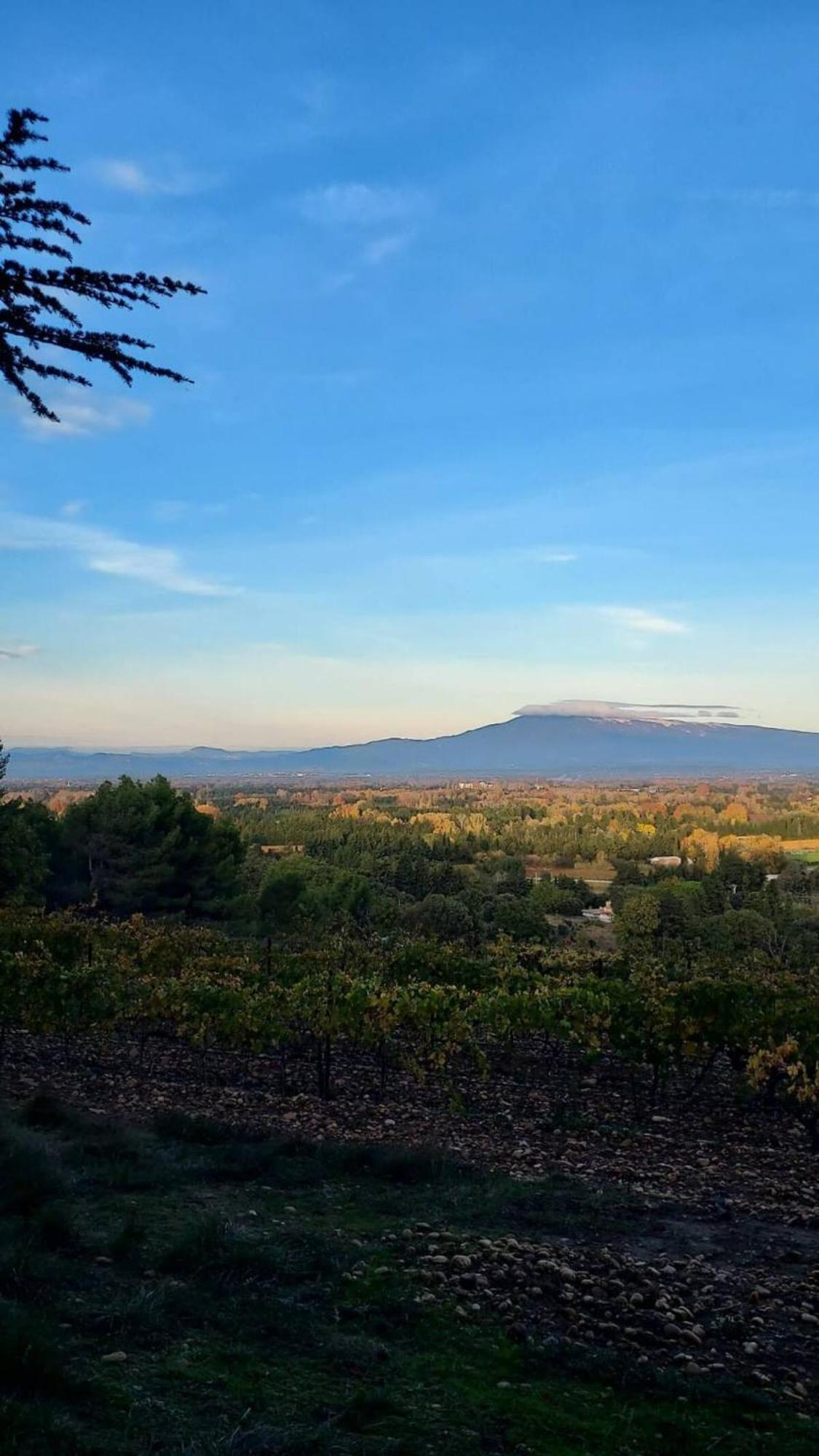 L'Appartement De L'Arche Châteauneuf-de-Gadagne Kültér fotó